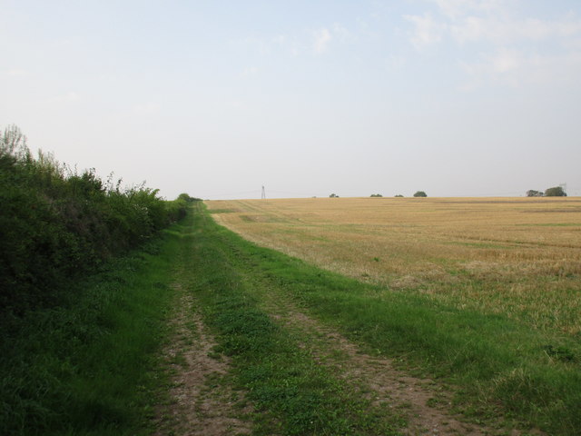 Track off Burnmoor Lane
