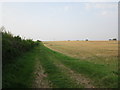 Track off Burnmoor Lane