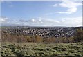 Sneyd Green from Sneyd Hill Park