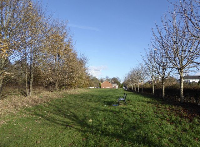 Sneyd Hill Park © Jonathan Hutchins cc-by-sa/2.0 :: Geograph Britain ...