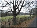 Field by Old Reigate Road, Brockham