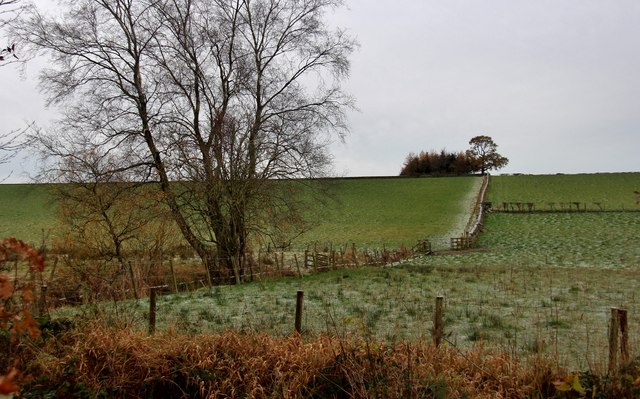 Farmland fences at Mc Whanrick
