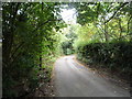 Minor road near Letty Green Fruit Farm