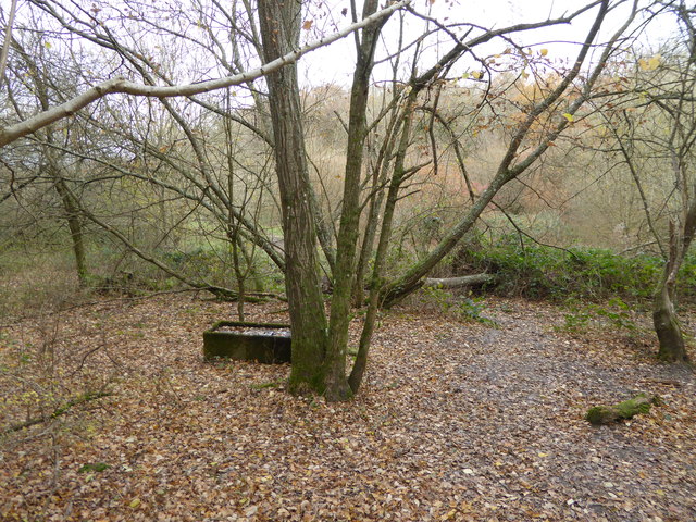 Drinking trough close to footpath in Horse Wood