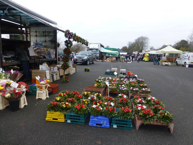 Plants for sale, Omagh Variety Market