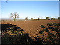 Farmland near Alveston