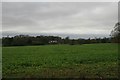 Eastbury Farmhouse, near Tarrant Gunville