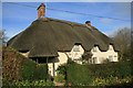 Thatched Cottage, Tarrant Hinton