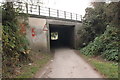 SJ3177 : The Wirral Way at the A540 Underpass by Jeff Buck