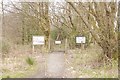 Holy Loch Local Nature Reserve