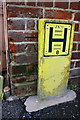 Benchmark and hydrant sign at #107 High Street