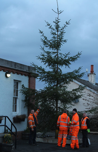 Christmas Tree, Ballantrae