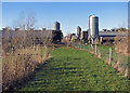 Little Thetford: poultry sheds