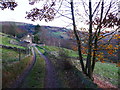 The lane to Long Riggin, Warley