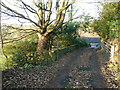 Old Riding Lane approaching Old Riding, Warley