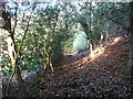 Halifax FP180 in a tree tunnel, Warley