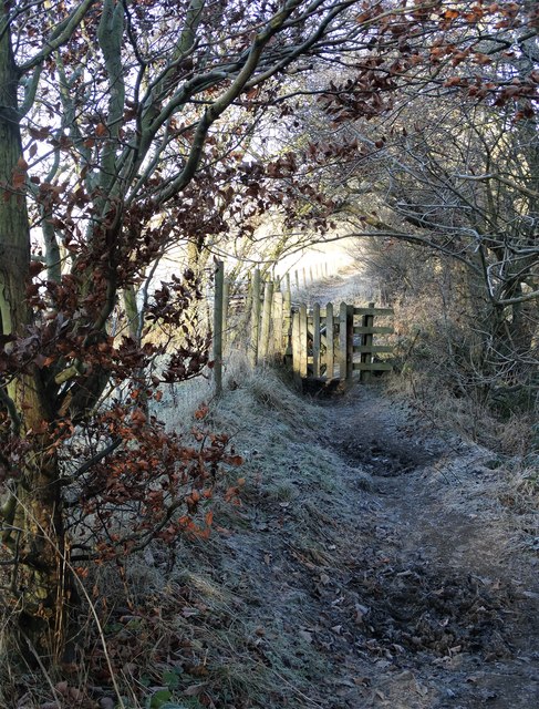 Frosty path by The River Derwent