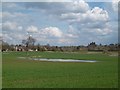 Flooded field