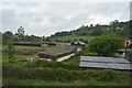 Nursery near Shalford Junction