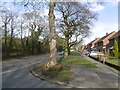 Kitchen Lane, Ashmore Park