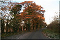 Winter morning in Plantings Lane, Easton