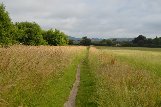 Footpath to Westerton