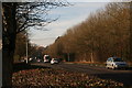 Winter morning outside the Rockingham Forest Hotel