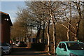 Tree-lined carpark at the Rockingham Forest Hotel