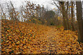 Leaf-strewn path up to the railway route