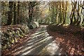 Lane near Ebberly Cross