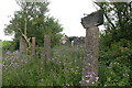 ST4951 : Derelict Field Barn by Nigel Mykura