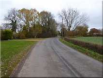 SO8742 : Country road passing Stonehall by Philip Halling