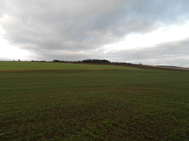 Farmland on the lower slopes of Lorns Hill