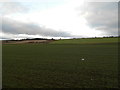 Farmland on the lower slopes of Lorns Hill