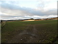 Farmland at Whitehouse