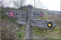 SK1573 : Finger post on the Monsal Trail by David Lally