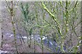 SK1373 : The River Wye from the Chee Dale Viaduct by David Lally
