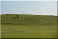 TQ9519 : Rye Golf Course by N Chadwick