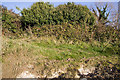 WWII Hampshire - Portsmouth anti-tank island (14)