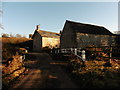 Ford and footbridge at Luppitt Mill