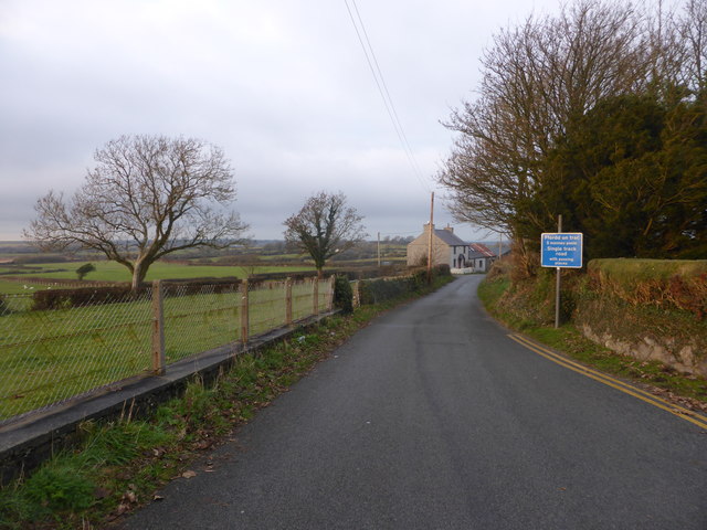 Lane near Ty Gwyn