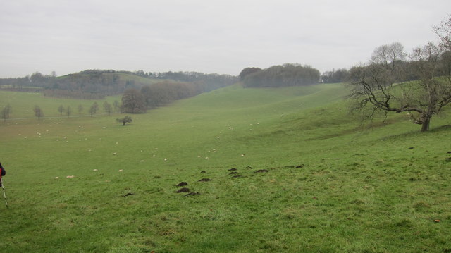 Hillside grazing and valley adjacent to Dodington House