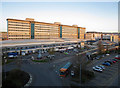 University of Wales Hospital, Cardiff