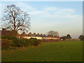 Wintry light in Parsloes Park