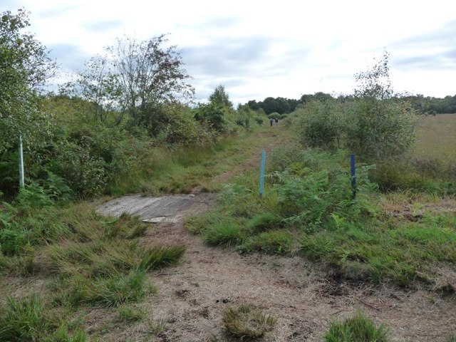 Mosses Trail, between posts 9 and 10, Whixall Moss