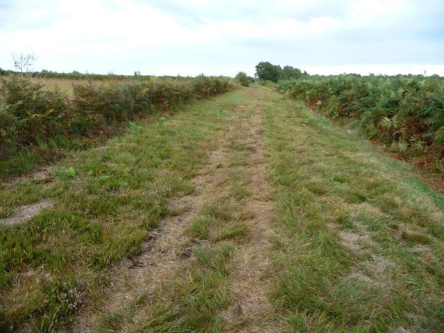 Mosses Trail track, heading north-east, Whixall Moss