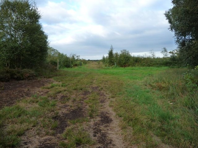 Mosses Trail at post 8, Whixall Moss