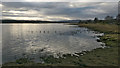 Cromarty Firth at Dingwall