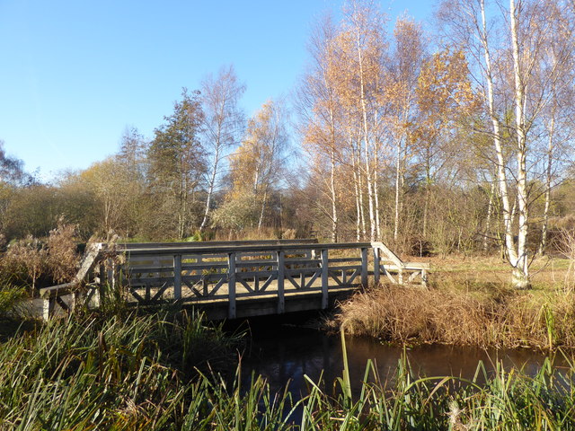 Bridge at the London Wetland Centre