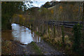 Mid Devon : Farm Track